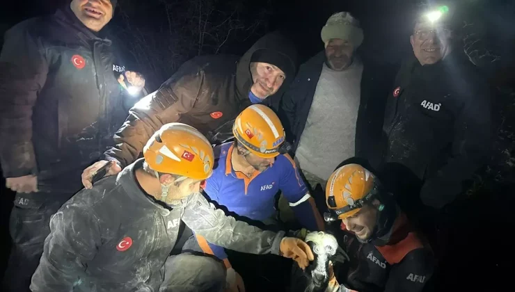Torbalı’da Mahsur Keçi AFAD Ekiplerince Kurtarıldı