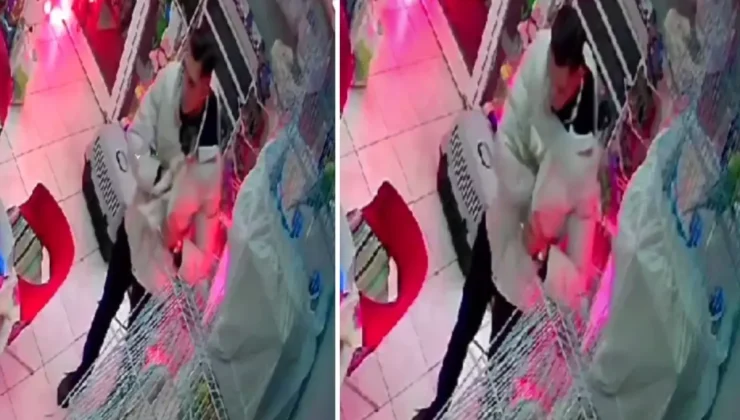 İzmir’de Petshop’tan Kedi Hırsızlığı Kamerada!
