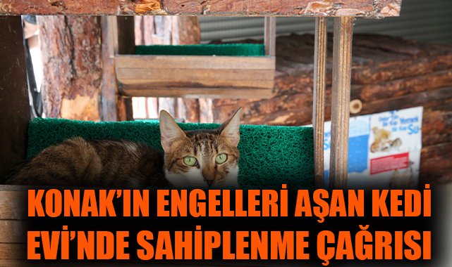 Konak’ta Patili Dostlara Ömürlük Yuvalar