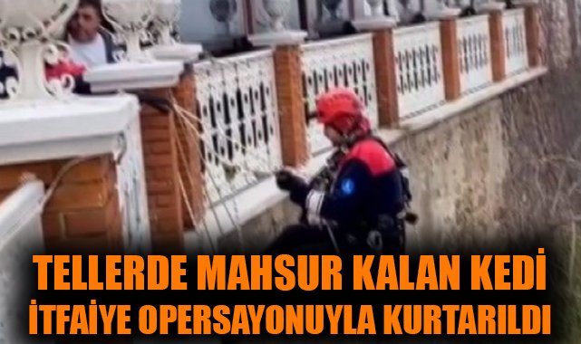 Kediyi Kurtarmak İçin İtfaiye Seferber Oldu!