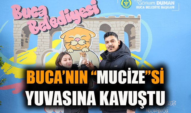 Mucize: Yaralı Kedi Yeni Ailesine Kavuştu!