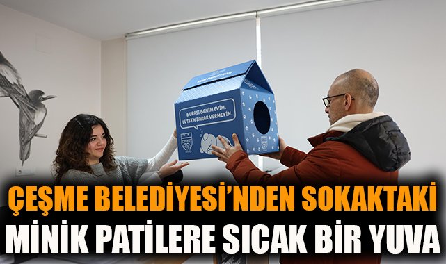 Çeşme Belediyesi’nden Sokak Kedilerine Özel Destek!