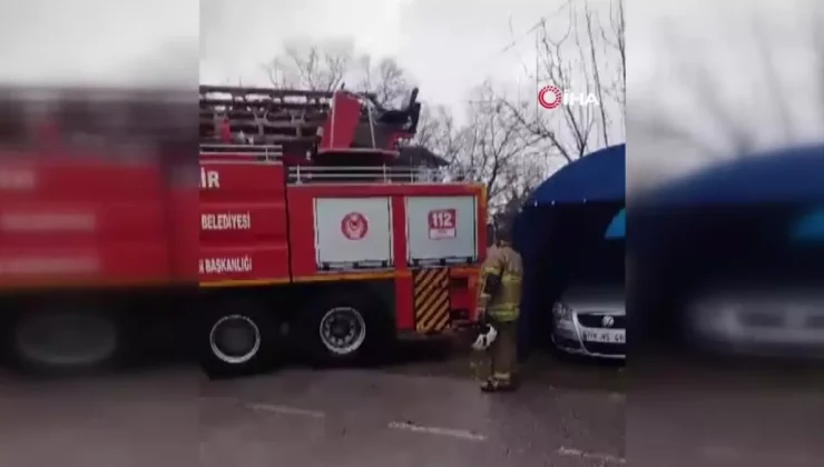 Korkudan Ağaca Çıkan Kedi İtfaiye Tarafından Kurtarıldı