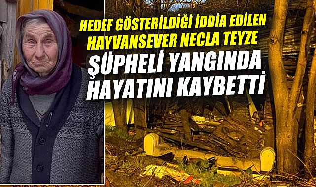 Hayvanseverler Kundaklama Şüphesiyle Sokağa Çıktı