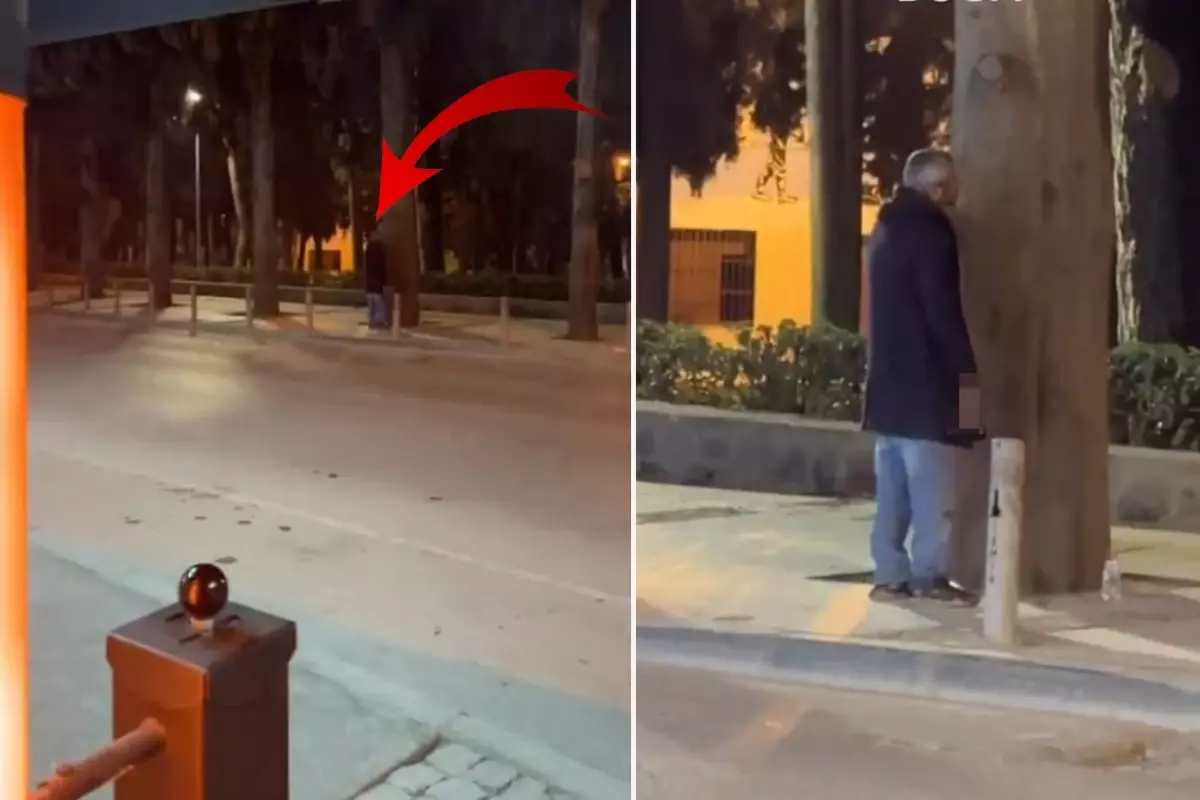 Ağaçla Sohbet Eden Adam, İzmir’de Şaşkınlık Yarattı!