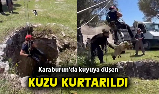 Kuzu Kuyuya Düştü, İtfaiye Ekipleri Kurtardı!