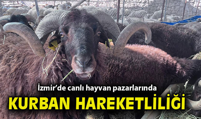 İzmir Kurban Pazarında Fiyatlar Yükseliyor!