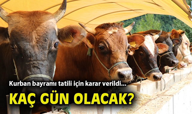 Kamu Ç çalışanlarına Kurban Bayramı İzni Açıklandı!