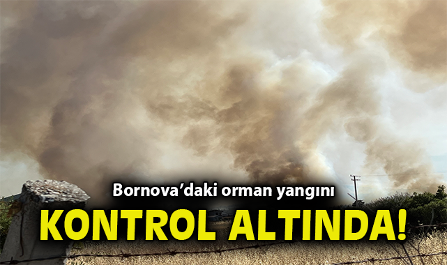 İzmir’de Orman Yangını: 3 Ev Yanarak Küle Döndü!