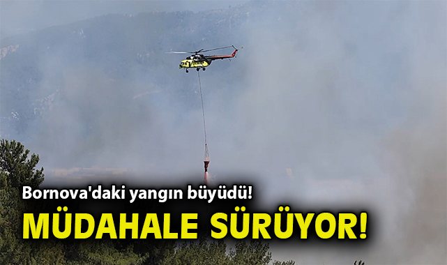 Bornova’da Yangın: Hızla Yayılıyor, Mücadele Sürüyor!