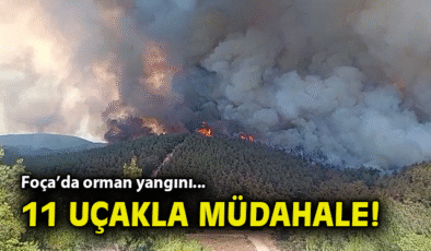 Foça’da Orman Yangını: Hızla Müdahale Başlatıldı!