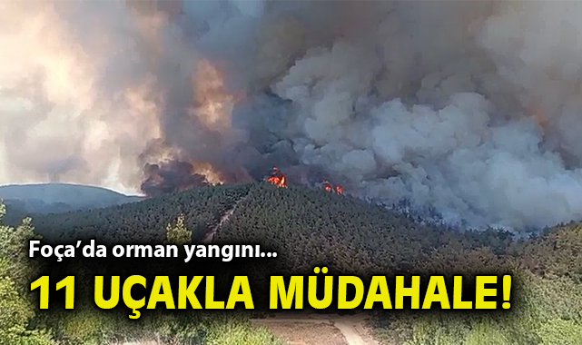 Foça’da Orman Yangını: Hızla Müdahale Başlatıldı!