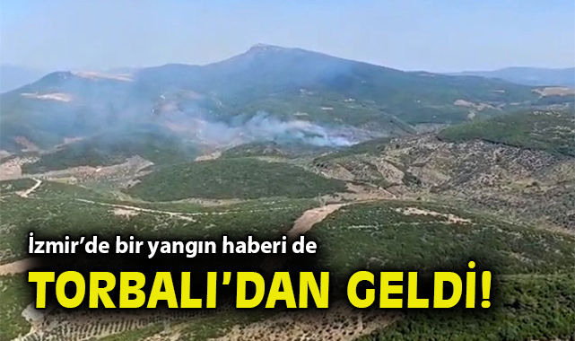 Torbalı’da Orman Yangını: Ekipler Müdahale Ediyor
