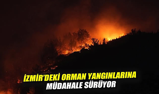 İzmir’de Şiddetli Yangın, Evler Zarar Gördü!