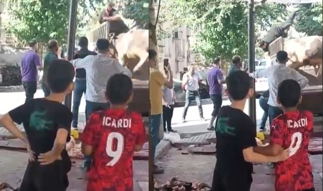 Boğa Saldırısına Uğrayan Kasabın Korku Dolu Anları!