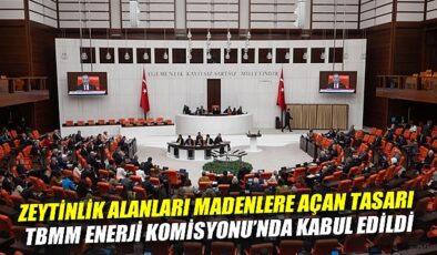 Zeytinlikler Artık Enerji ve Madenciliğe Açılıyor!