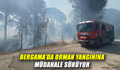 İzmir’de Yangına Su Tankerleriyle Müdahale!