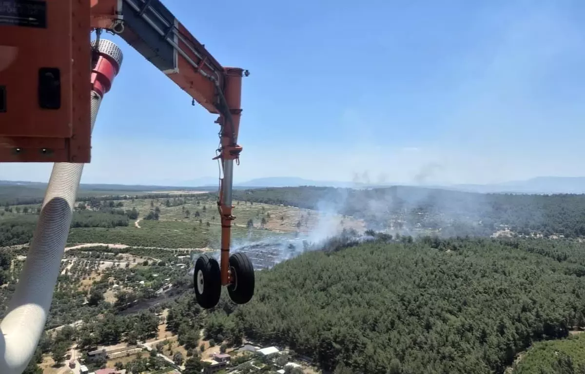 İzmir’de Orman Yangınına Hızlı Müdahale Devam Ediyor!