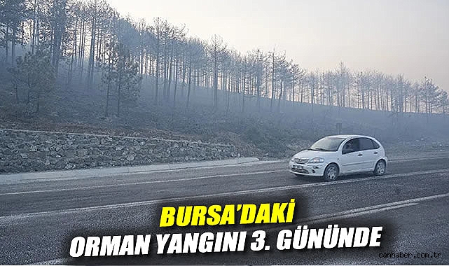 Bursa’da Orman Yangını 3. Gününde Kontrol Altında!