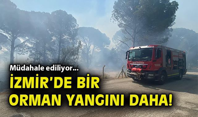 İzmir’de Yangın Seferberliği: Anız Yangını Büyüdü