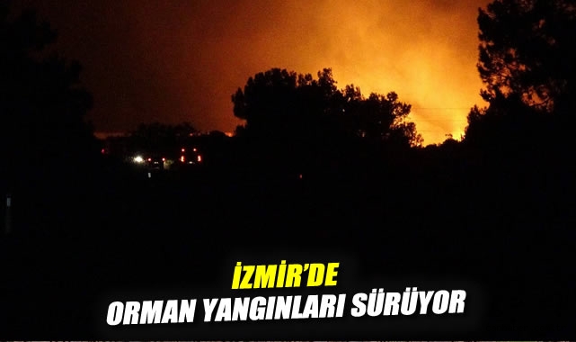 Çeşme ve Ödemiş’te Orman Yangınları: Mahalleler Tahliye!