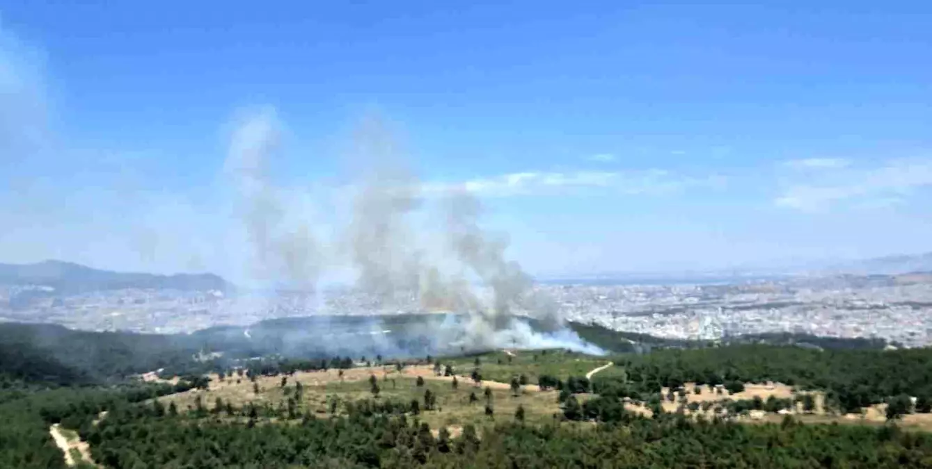 İzmir’de Orman Yangınına Hızlı Müdahale Başladı!