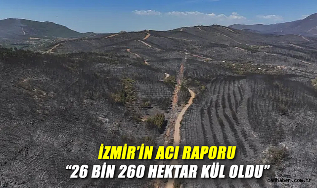 Yangınlar İzmir Ormanlarını Kül Etti!