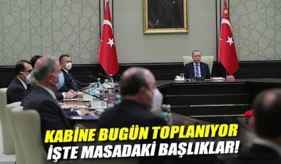 Yangınlar ve Terörsüz Türkiye: Kabine Toplantısı