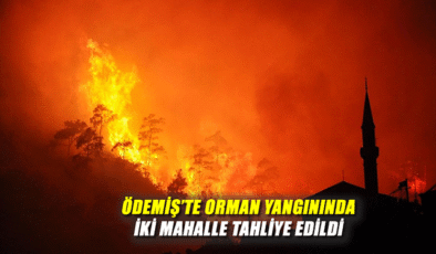 İki Mahallede Yangın: Vatandaşlar Tahliye Edildi