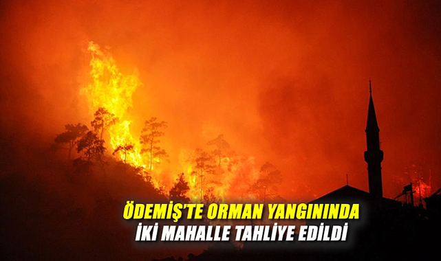 İki Mahallede Yangın: Vatandaşlar Tahliye Edildi