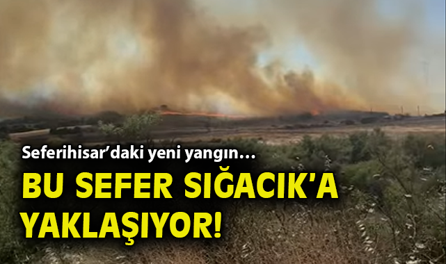 Seferihisar’da Yangın Yeniden Başladı! Destek Gizli!