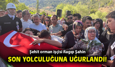 Orman Kahramanı Ragıp Şahin, Yangında Şehit Oldu
