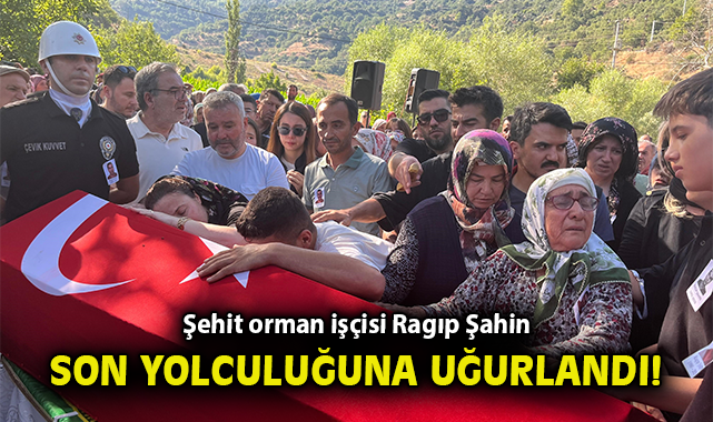 Orman Kahramanı Ragıp Şahin, Yangında Şehit Oldu