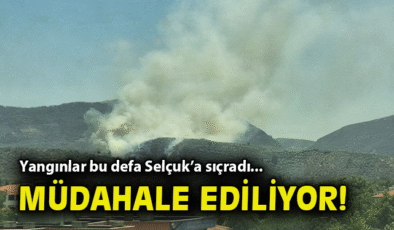 Selçuk’ta Zeytinlikte Yangın! Ekipler Mücadele Ediyor