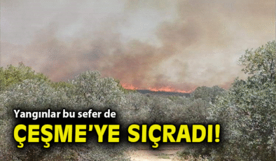 Çeşme’de Orman Yangını: Ekipler Seferber Oluyor!