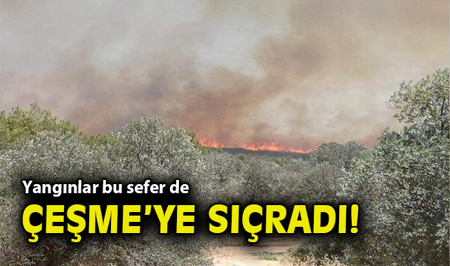 Çeşme’de Orman Yangını: Ekipler Seferber Oluyor!