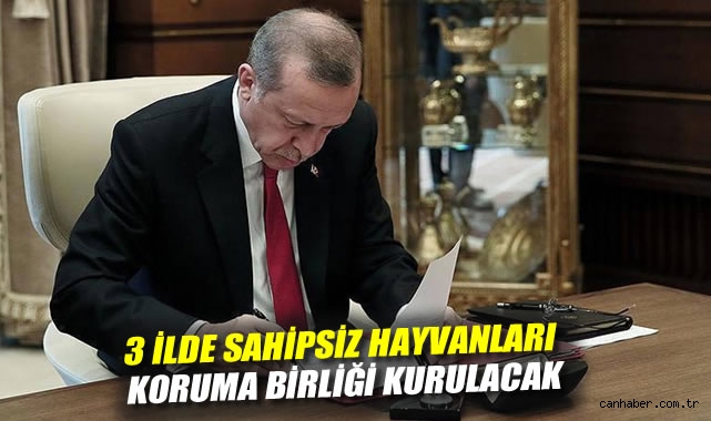Sahipsiz Hayvanlar İçin Üç İlde Koruma Birliği Kuruluyor