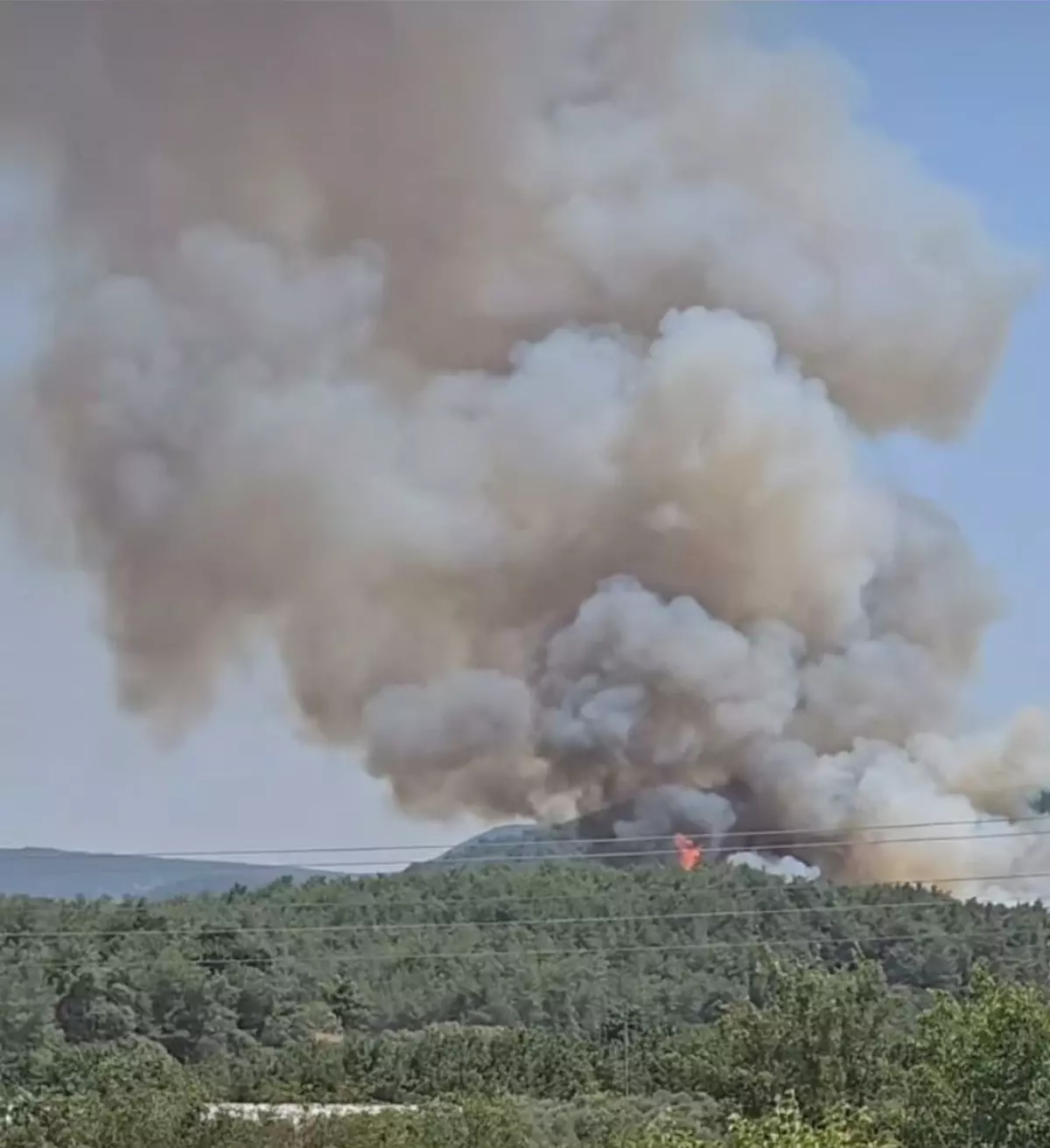 İzmir’de Orman Yangınına Hızla Müdahale Ediliyor!