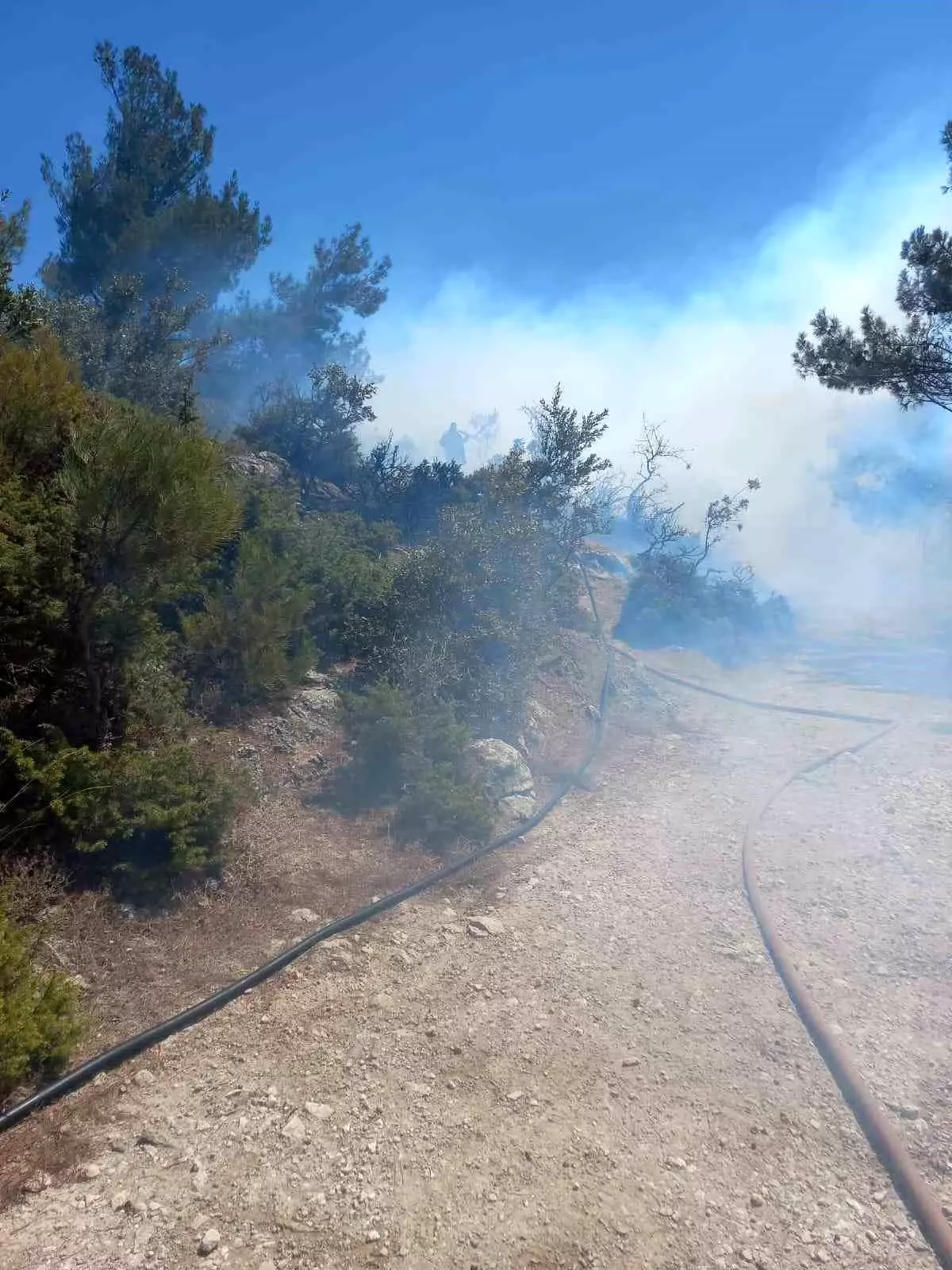 Kırkağaç’taki Orman Yangını Hızla Kontrol Altında!
