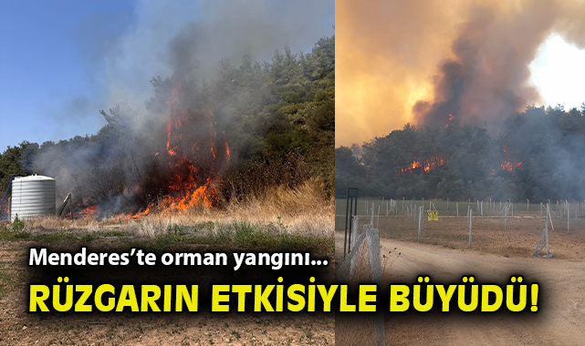 Menderes’te Orman Yangını: Havadan ve Karadan Mücadele!