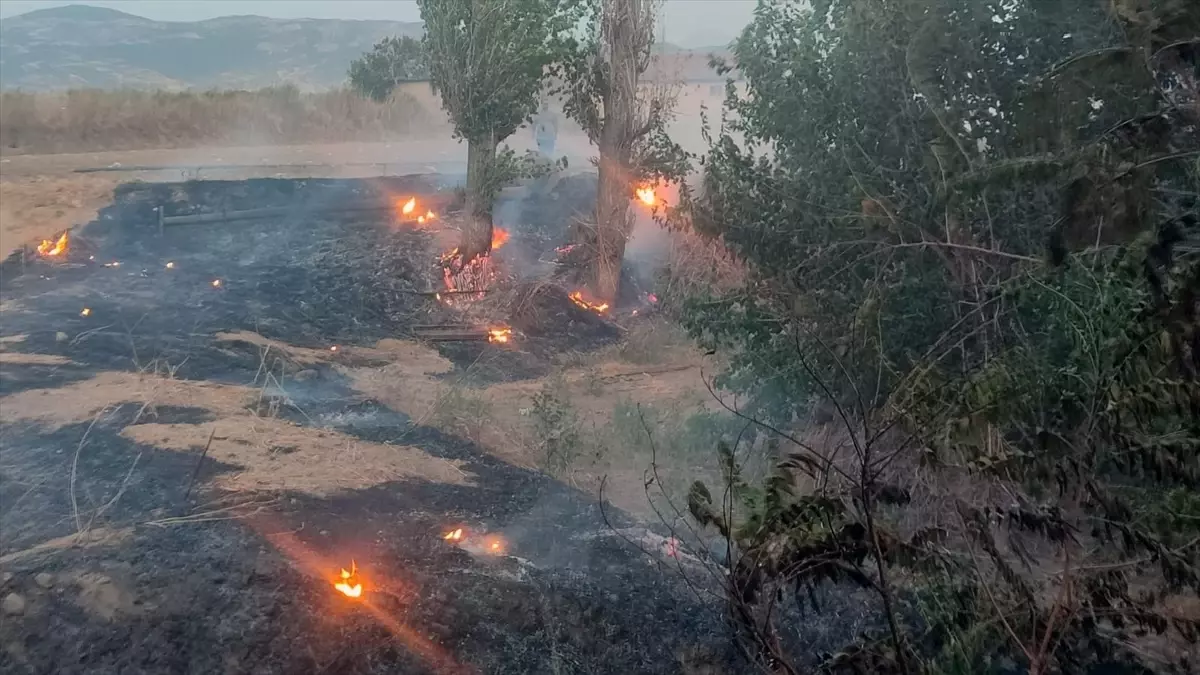 Ödemiş’te Otluk Alanda Yangın: İtfaiye Müdahale Etti!