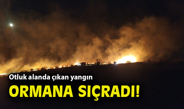 Yangın Kontrol Altına Alındı: İzmir’de Panik!