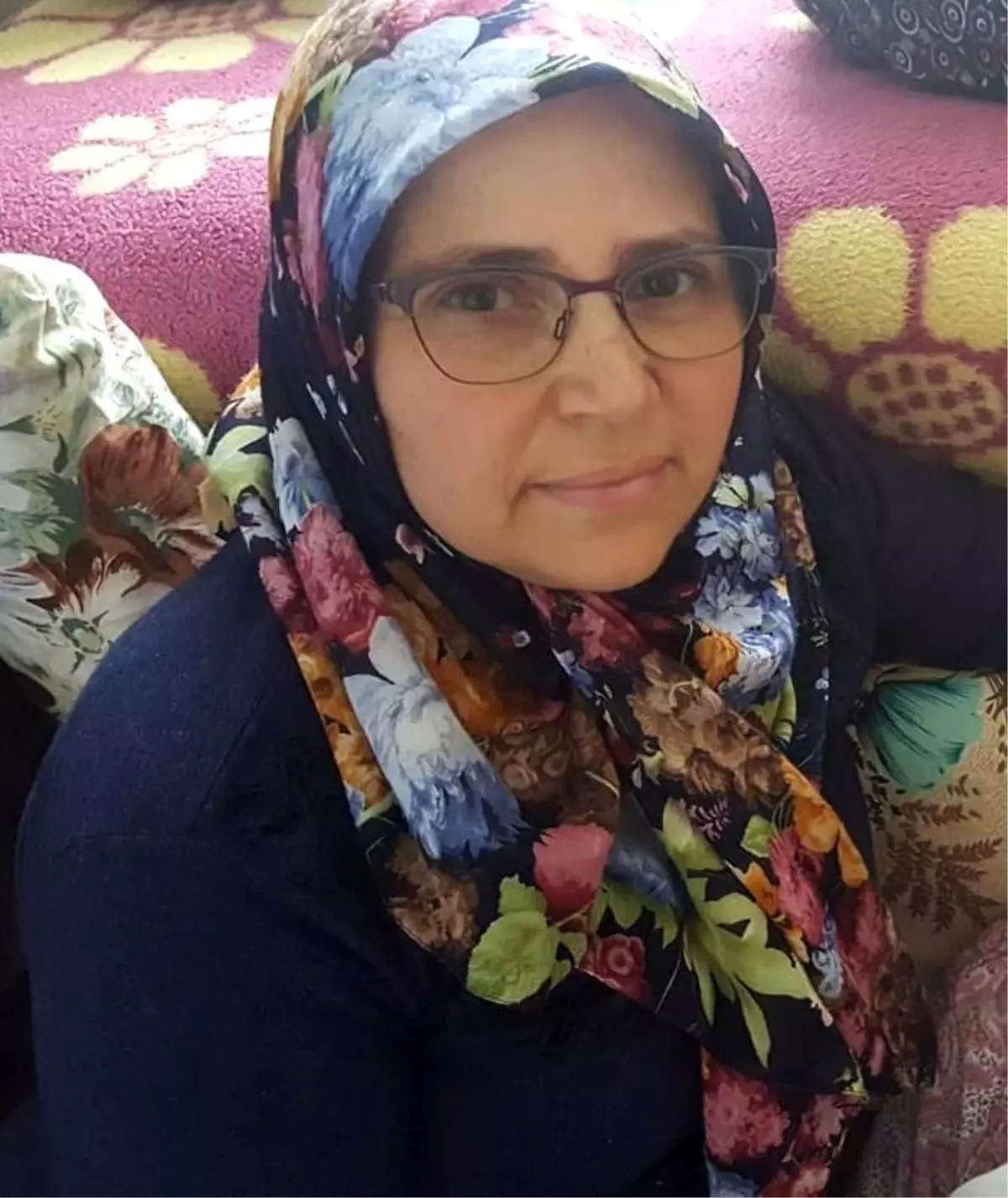 Yürüyüşte Köpek Saldırısı, Otomobil Kazasıyla Son Buldu