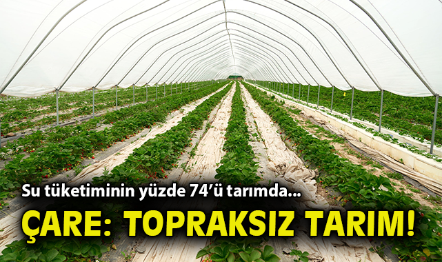 Su Kıtlığına Karşı Çözüm: Topraksız Tarım