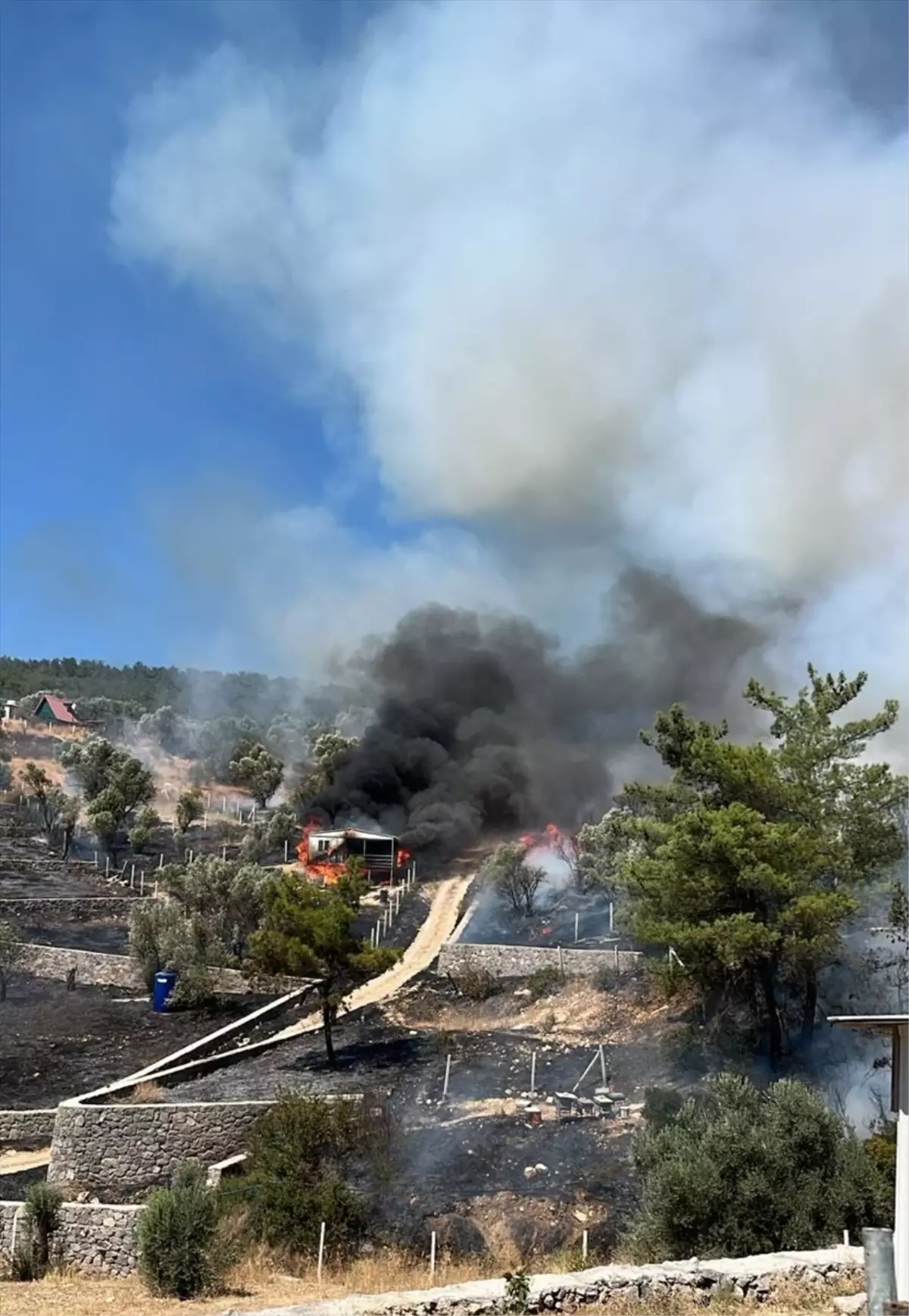 Kemalpaşa’daki Yangın Hızla Kontrol Altına Alındı