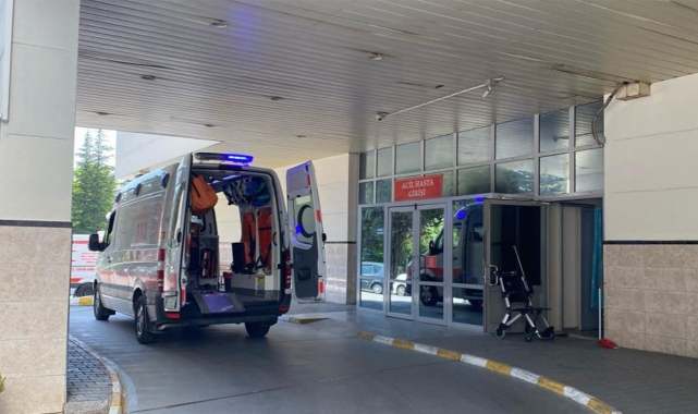 Bolu’da Deli Dana Hastalığı Şoku: Tedavi Başladı!