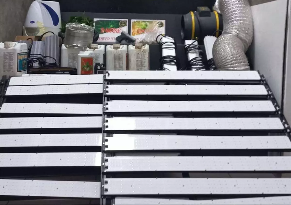 İzmir’de Evde Sera: Kenevir Yetiştiren Tutuklandı!