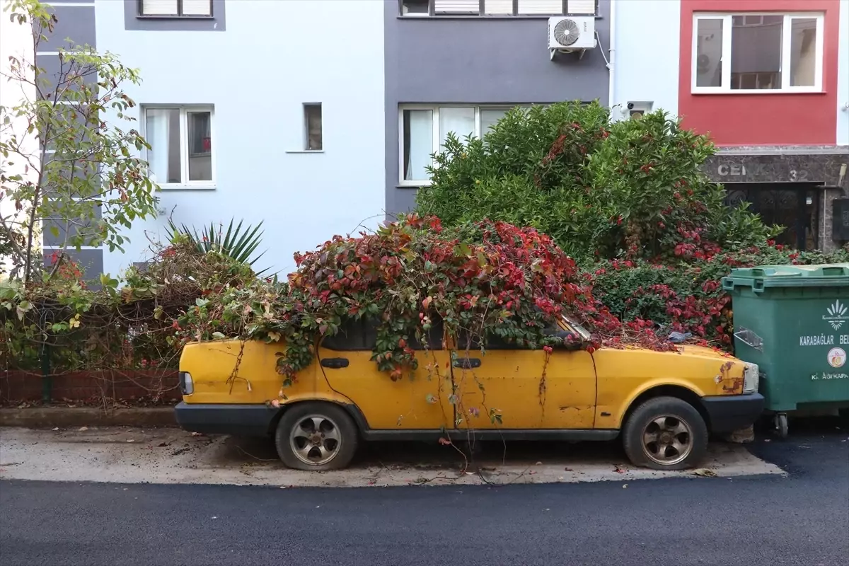 Sarımsaklarla Kaplanan Unutulmuş Araç