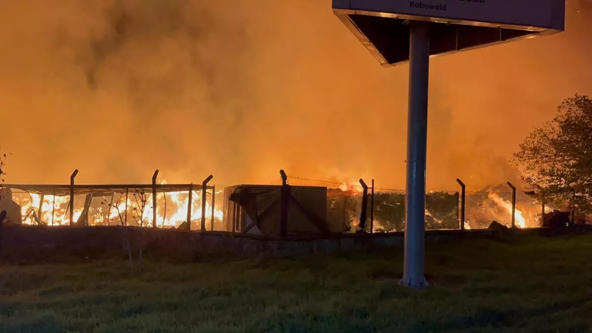 İzmir’de Çöp Alanında Yangın: Paniğe Neden Oldu!