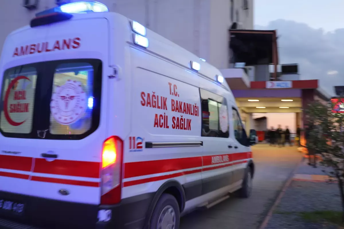 Kedileriyle Birlikte Yangında Can Veren Hayvansever